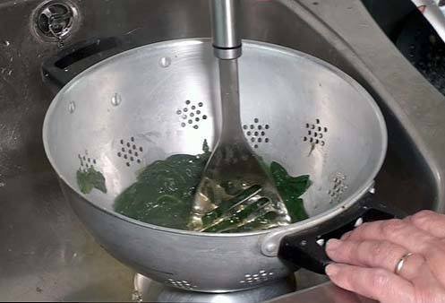 Receta de Crepes de Espinacas y Champiñones